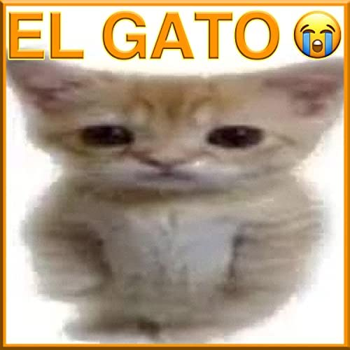 EL GATO PERO EN WEB